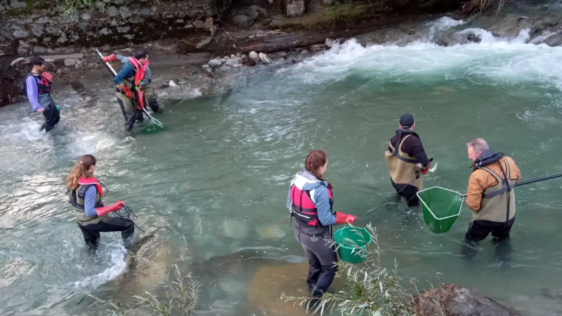 peche electrique