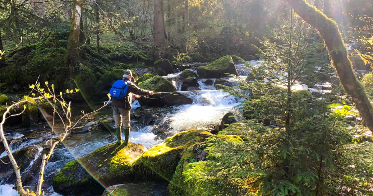 Torrent du Veyton