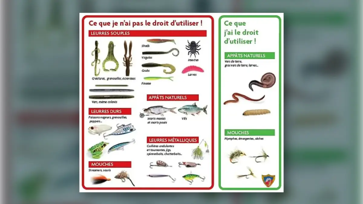 reglementation carnassier fermeture brochet