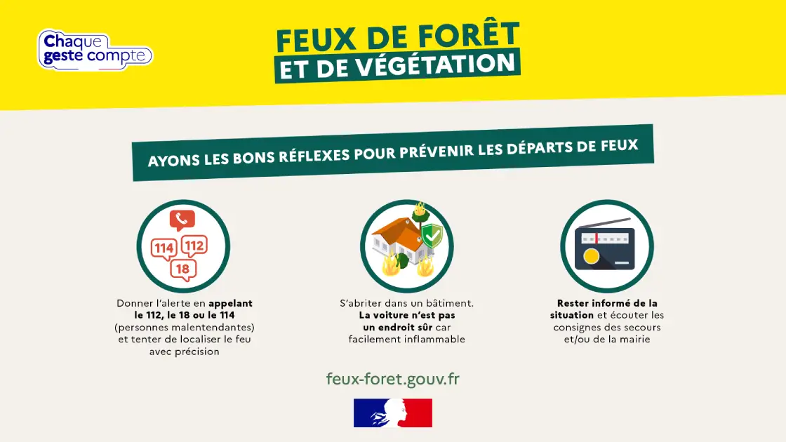 Bons réflexes en cas de feux de forêt